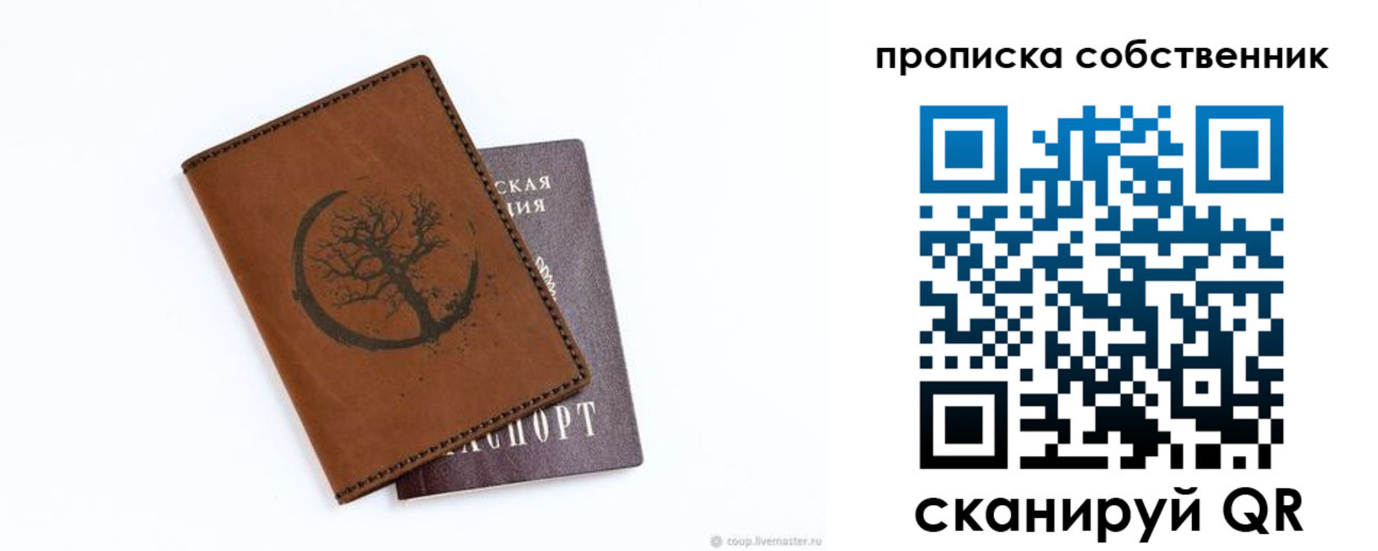 прописка поиск в Димитровграде