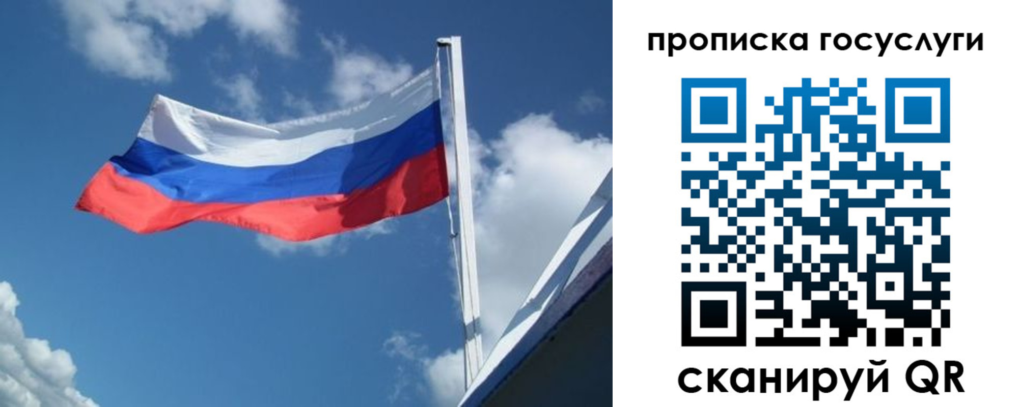 прописка для школы в Димитровграде