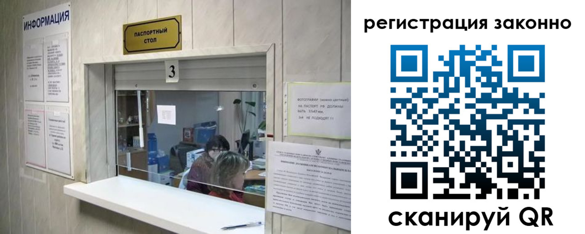 прописка паспорт в Димитровграде